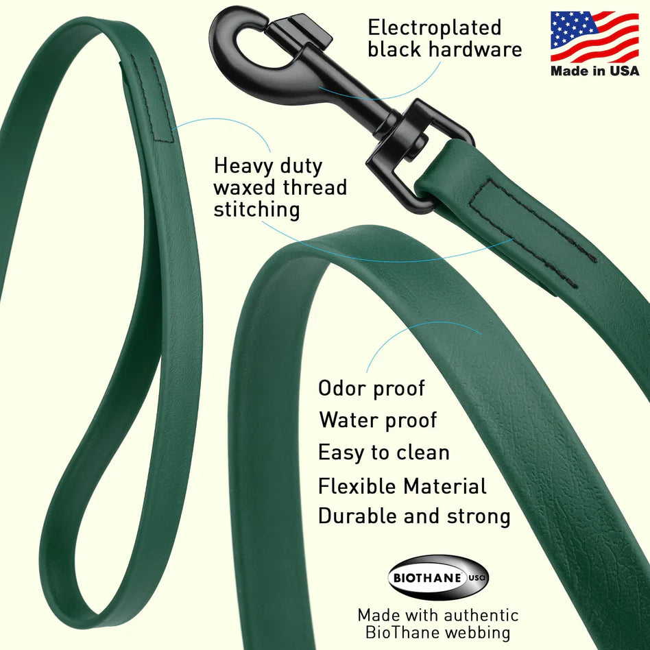 Biothane Waterproof Leash 4 ft