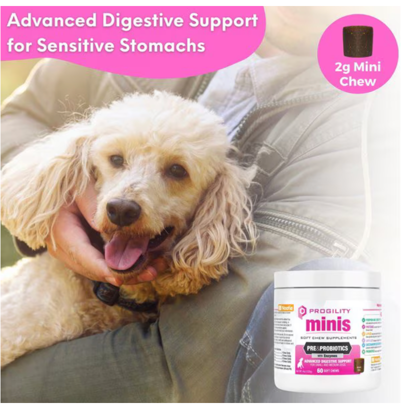 Nootie Progility Mini Digestive Support Small & Medium Breed Chew Supplement for Dogs,