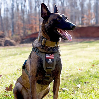 K9R - M1 LightSpeed Harness Large – Cal State Dog Supplies K9R - M1 LightSpeed Harness Large – Cal State Dog Supplies