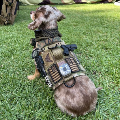 Military Pitbull Vest Harness Pitbull K9 Tac Vest Pitbull K9 Molle