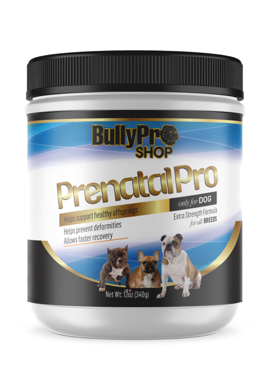 Prenatal Pro : Prenatal Supplements